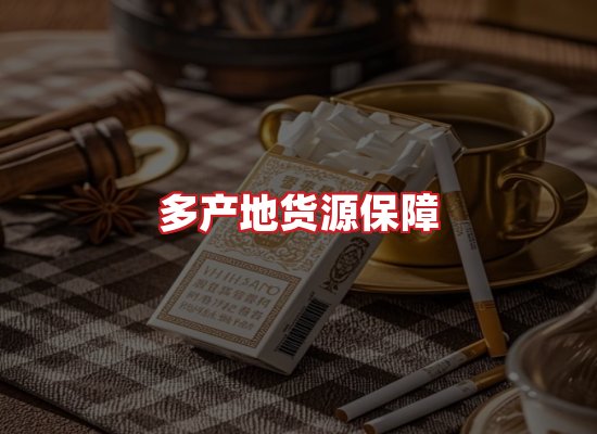 专业团队